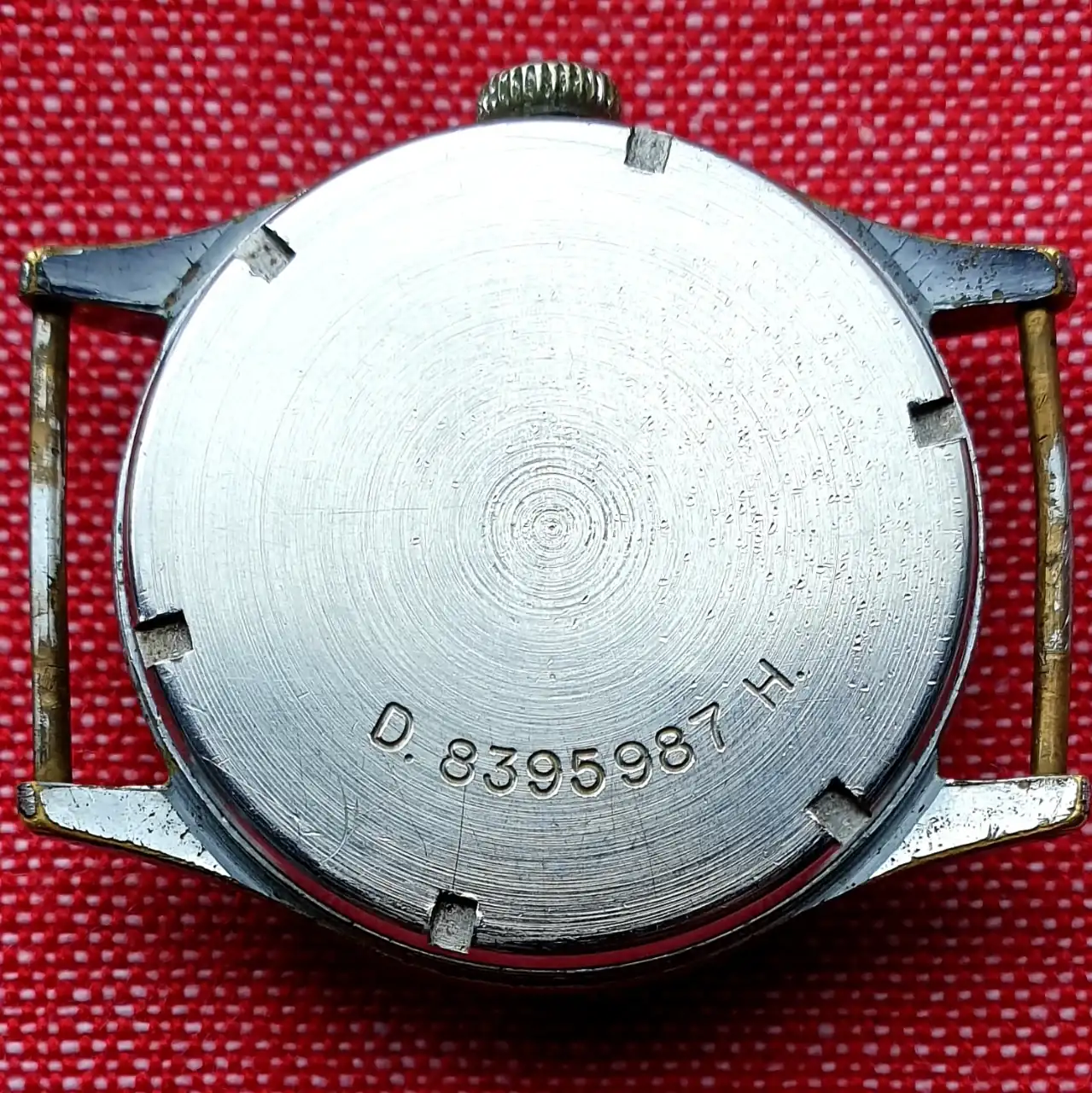 ZENITH 2, (5.8 µSv-h radiation).webp