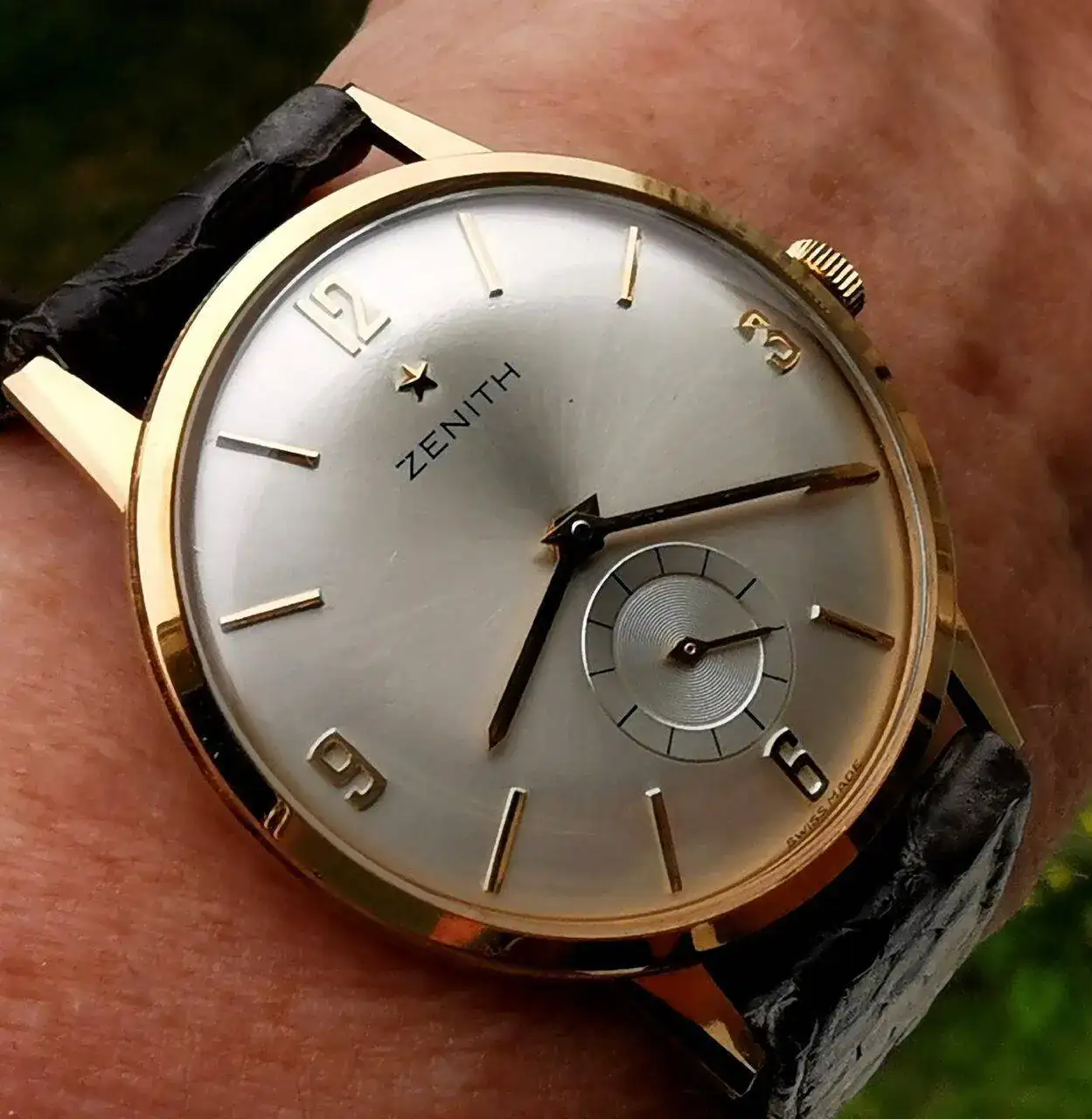 Zenith Nos.jpg