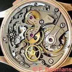 Zenith_156D.webp