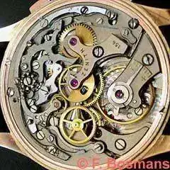 Zenith_156D.webp