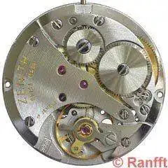 Zenith_2562.webp