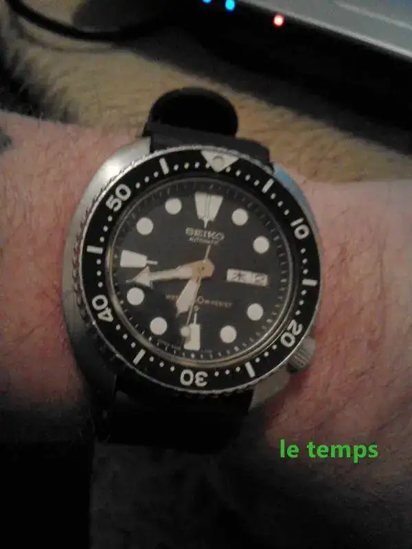 ZM.webp